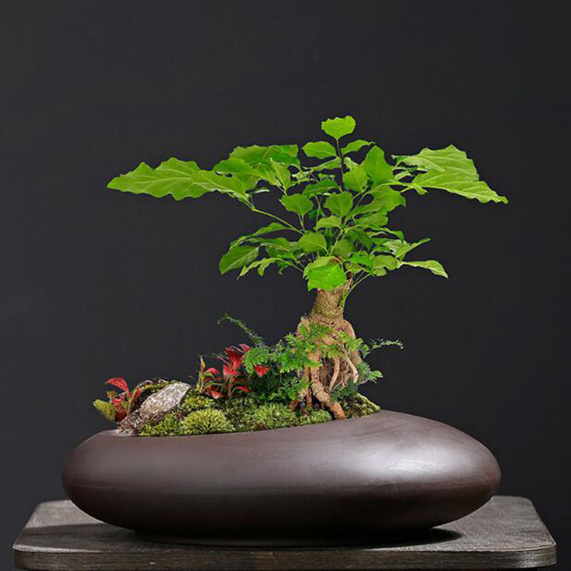 Retro Purple Clay Plant Pot Ch - огляд і ціна Tagine Clay Pot